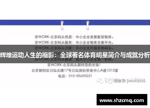 辉煌运动人生的缩影：全球著名体育明星简介与成就分析