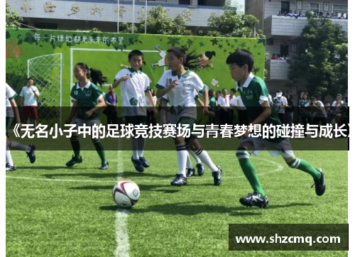 《无名小子中的足球竞技赛场与青春梦想的碰撞与成长》