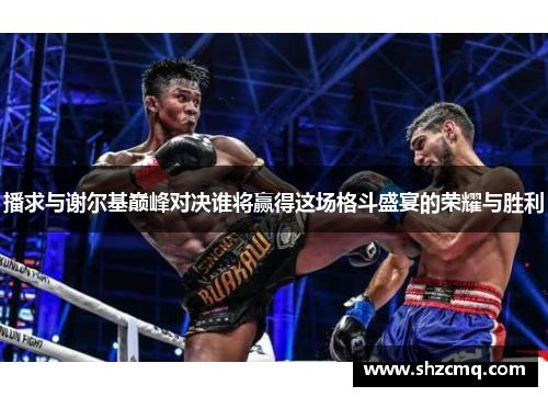 播求与谢尔基巅峰对决谁将赢得这场格斗盛宴的荣耀与胜利