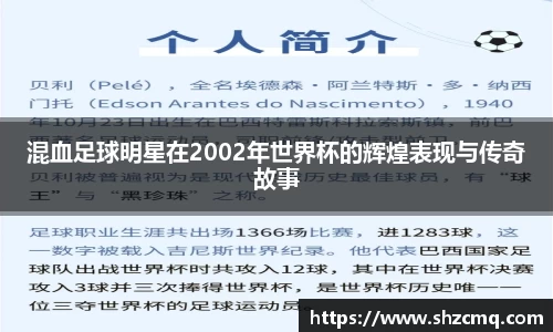 VSport胜利因您更精彩